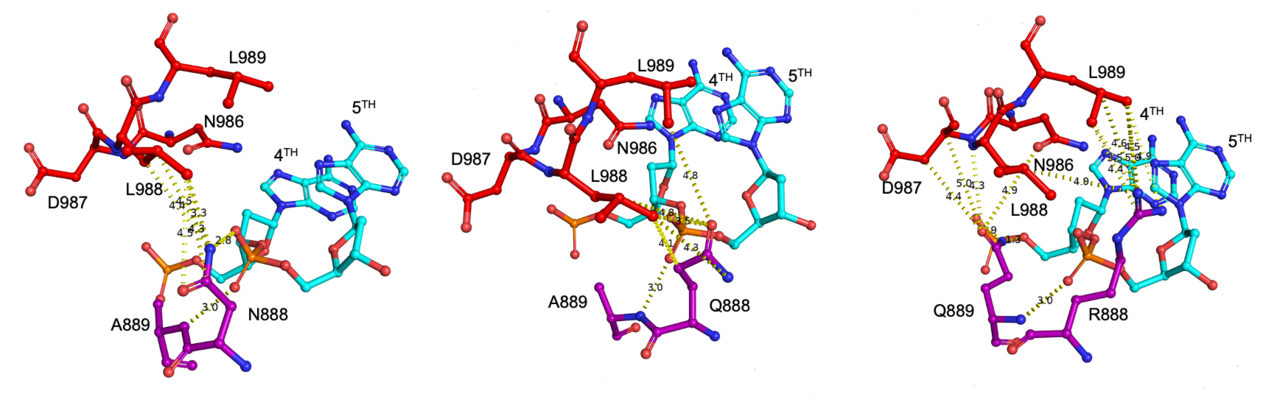 Engineering CRISPR-Cas9 proteins en masse with much less experiments
