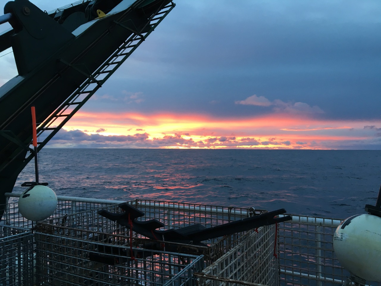 Taking a dip in the sulfonate pool