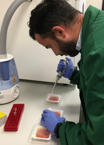 Go to the profile of Miguel Angel Merlos Rodrigo