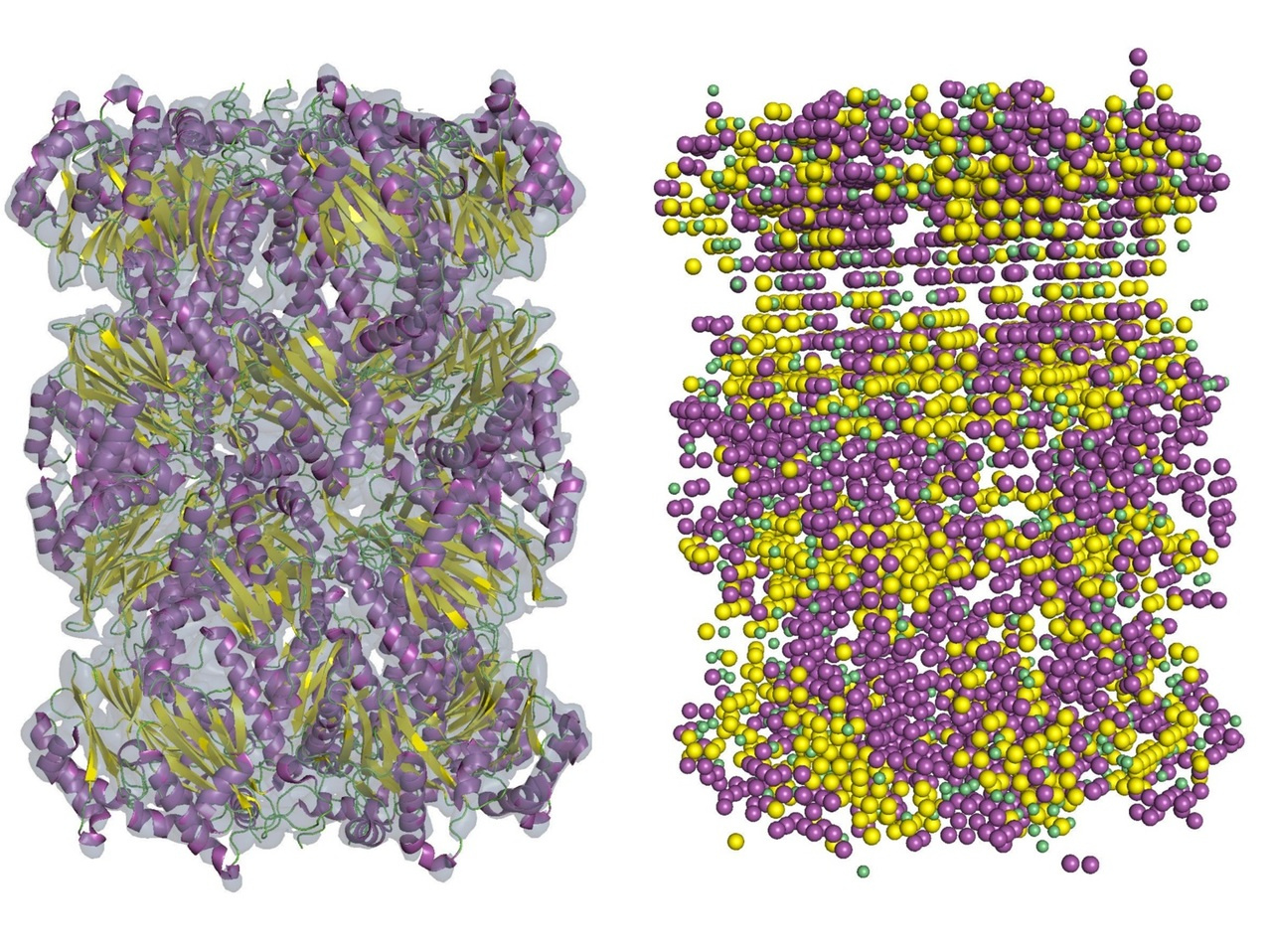 Emap2sec: Deep learning-based tool for detecting protein secondary structures in intermediate cryo-EM maps
