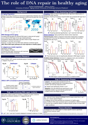 Roshan Karthikappallil: The role of DNA repair in healthy ageing