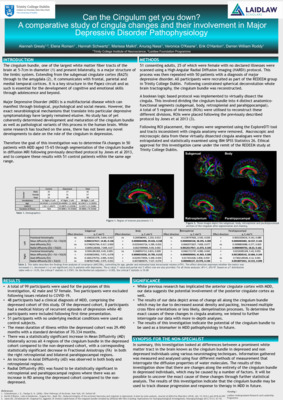2019 Laidlaw Scholars - Alannah Grealy - Research Poster