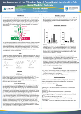 2019 Laidlaw Scholars - Bidemi Afolabi - Research Poster
