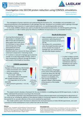 2019 Laidlaw Scholars - Ciara Finan - Research Poster