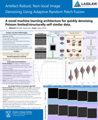 2020 Laidlaw Scholars - Michael Mitchell - Research Poster
