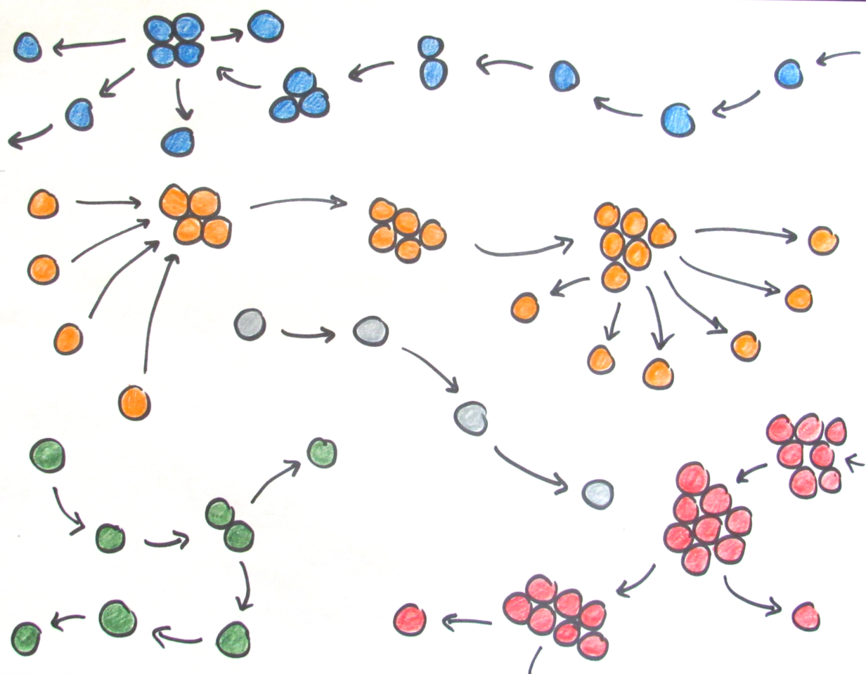 Modeling the evolution of the first multicellular life cycles