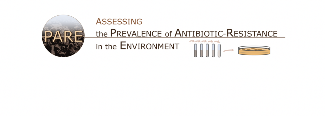 Presence of Antibiotic Resistance in the Environment: Analysis of Emergent Markers