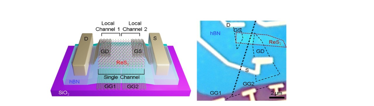 Realization of a logic gate in a single 2D channel