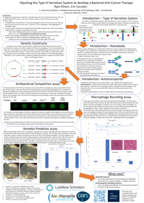 Hijacking the Type VI Secretion System to develop a Bacterial Anti-Cancer Therapy