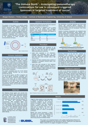 'The Immune Bomb' – Investigating Immunotherapy Combinations for Use in Ultrasound Triggered Liposomes in Targeted Treatment of Cancer