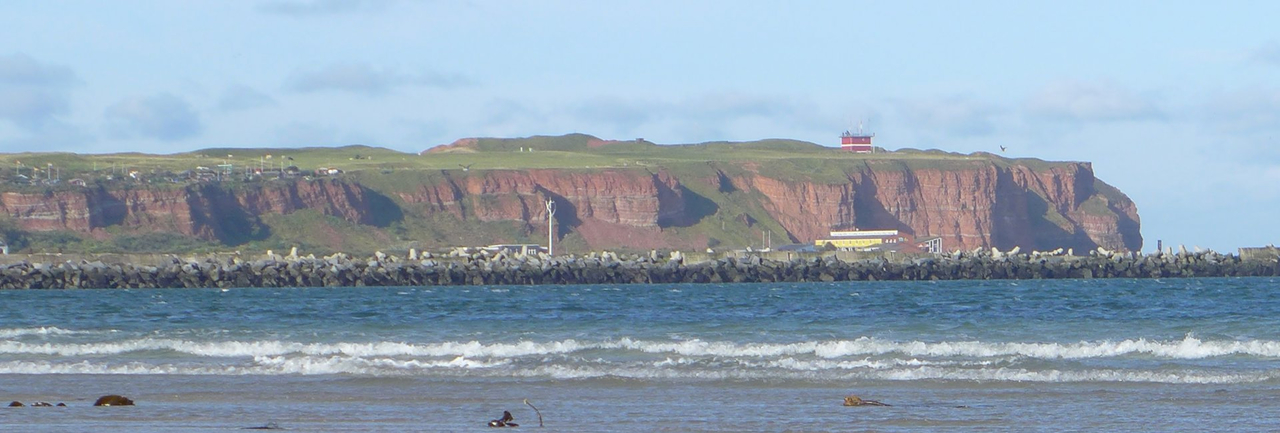 Metagenomes tell us the what. Metaproteomes tell us the how much.