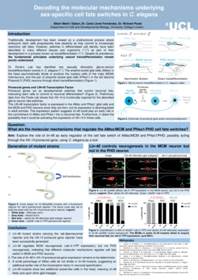 Decoding the molecular mechanisms underlying sex-specific cell fate switches in C. elegans