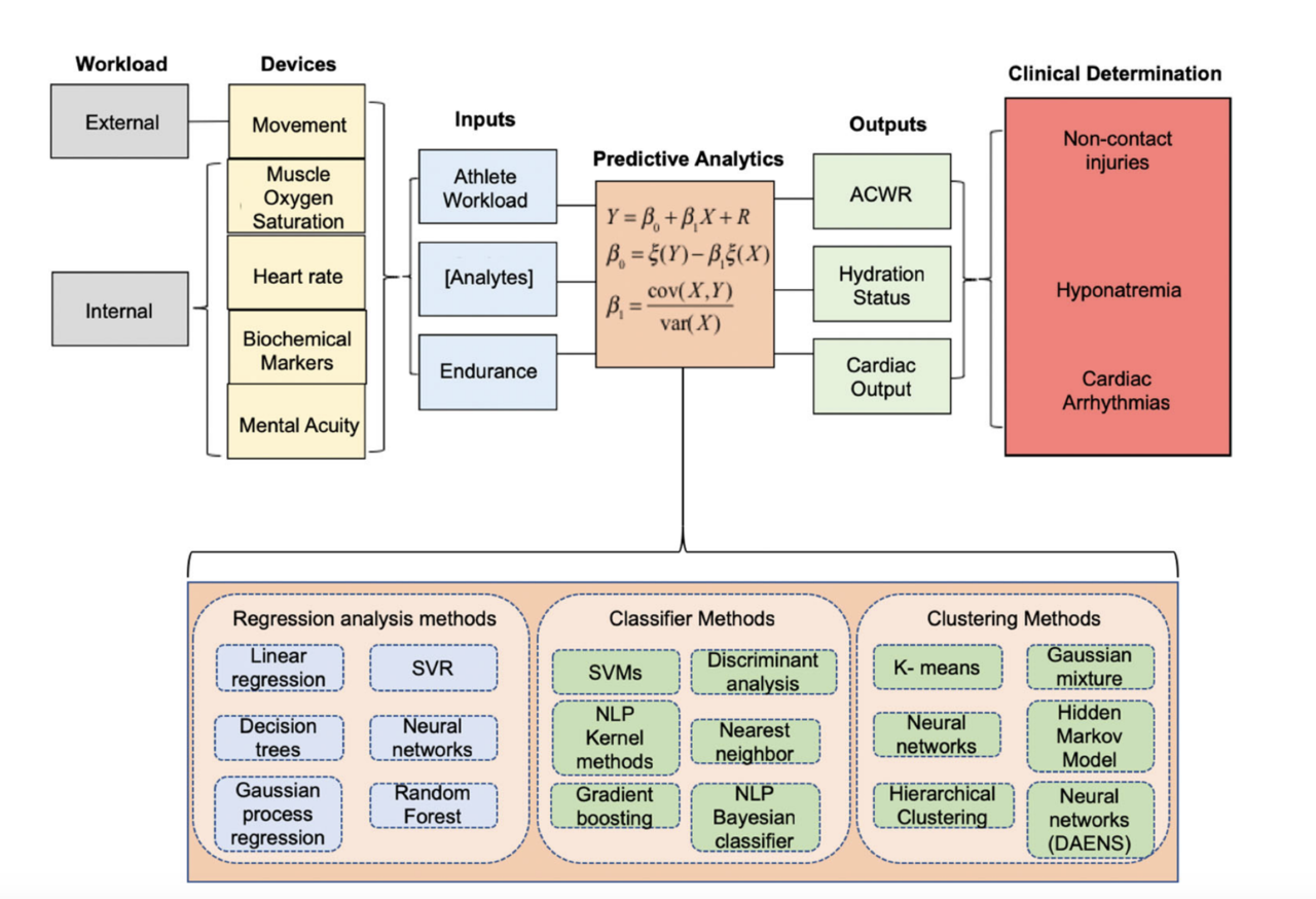 Wearable sensors for monitoring the physiological and biochemical profile of the athlete