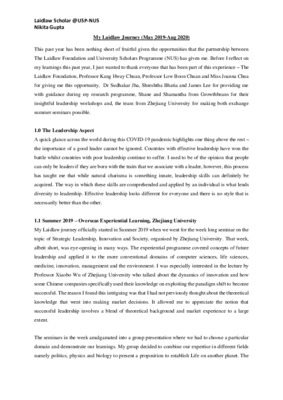 Reflection Report_Nikita