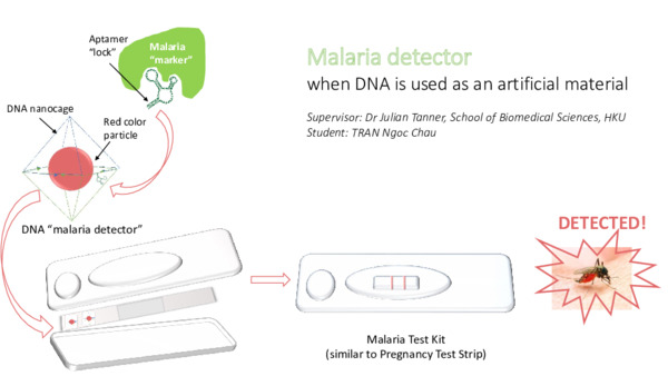 Laidlaw 3-minute Presentation