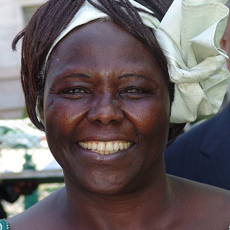 What People See as Fearlessness