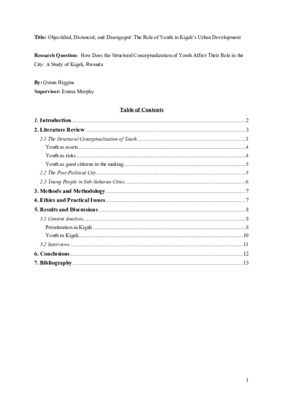 The Role of Youth in Kigali's Urban Development: Research Report