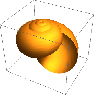 Snail’s pace: conchology and 200 years of mathematical biology