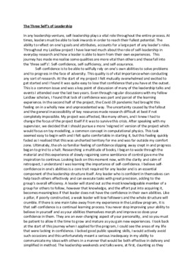 Leadership Essay - The Three Self's of Leadership