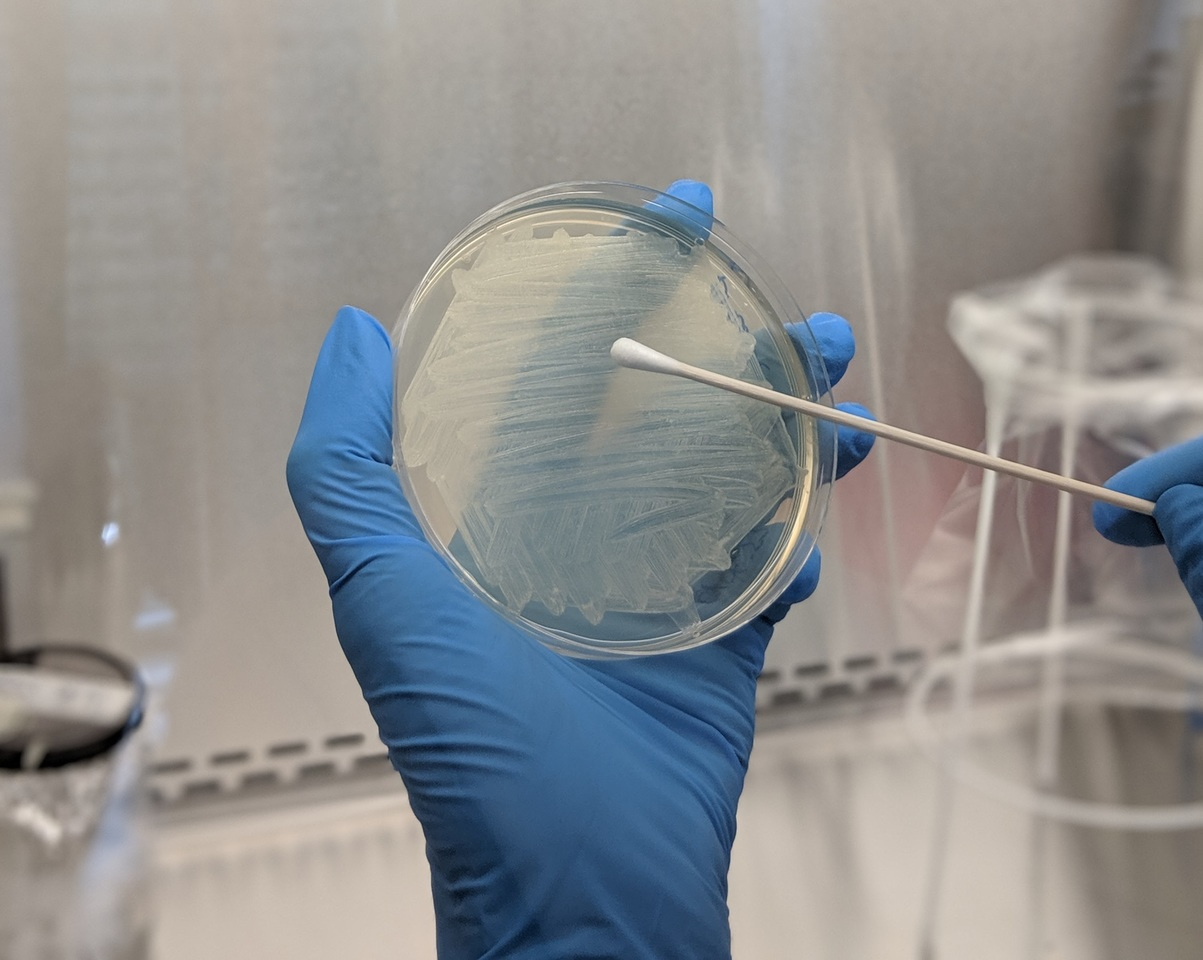 Why the bad is not always bad