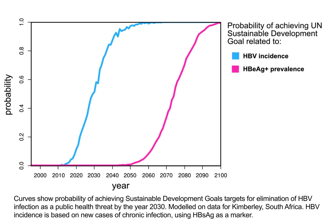 Modelling the impact of interventions for HBV: Focus for World Hepatitis Day