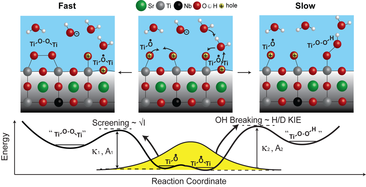 Selecting between two transition states by which water oxidation intermediates decay on an oxide surface