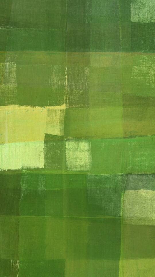 “Fragile Stability” as a Political Background of October 7: Current and Foreseeable Issues in the Israeli-Palestinian Conflict