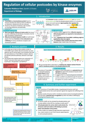 Regulation of cellular postcodes by kinase enzymes