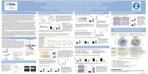 Poster for AACR 2019 – A Therapeutic Strategy to Inhibit Wnt Signaling also Reprograms Breast Tumor-Immune Cell Interactions: Perspectives for Conferring Immune Checkpoint Inhibitor Susceptibility