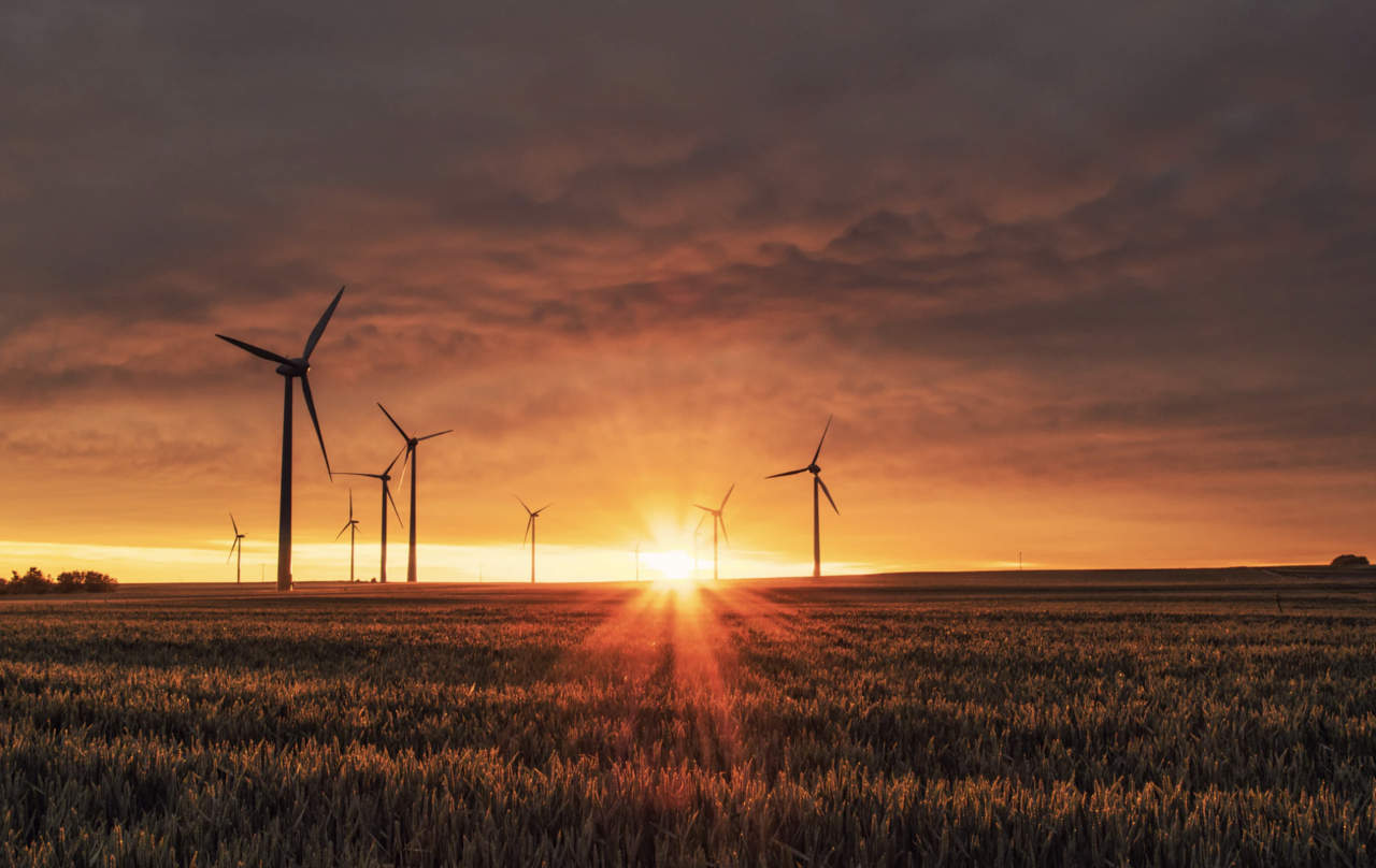 Unanswered Questions | A Make-or-Break Moment: Sustainable Development Goals after COVID-19