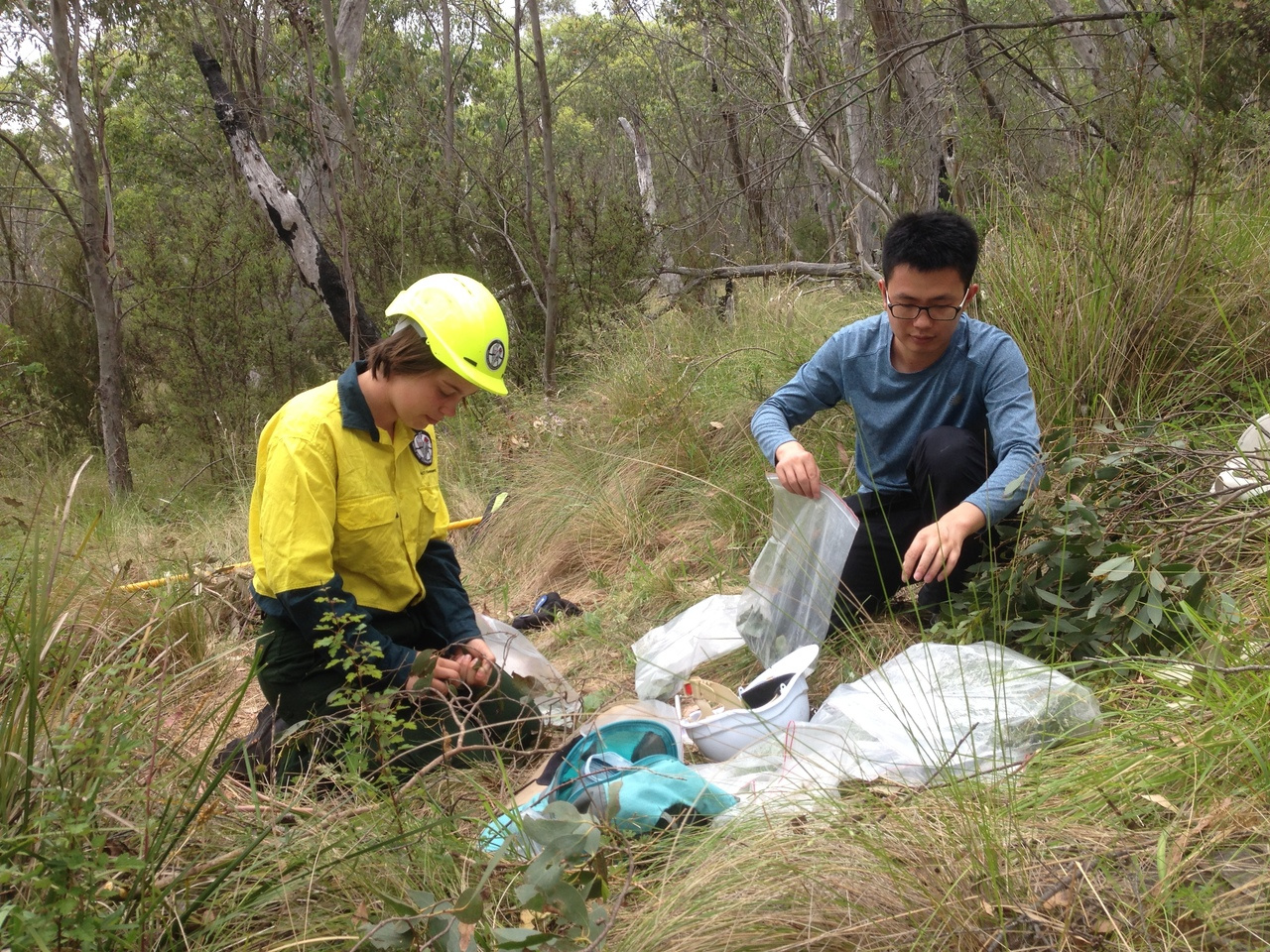 Our new global plant water status database may prevent you from needing to fieldwork. What will you miss?