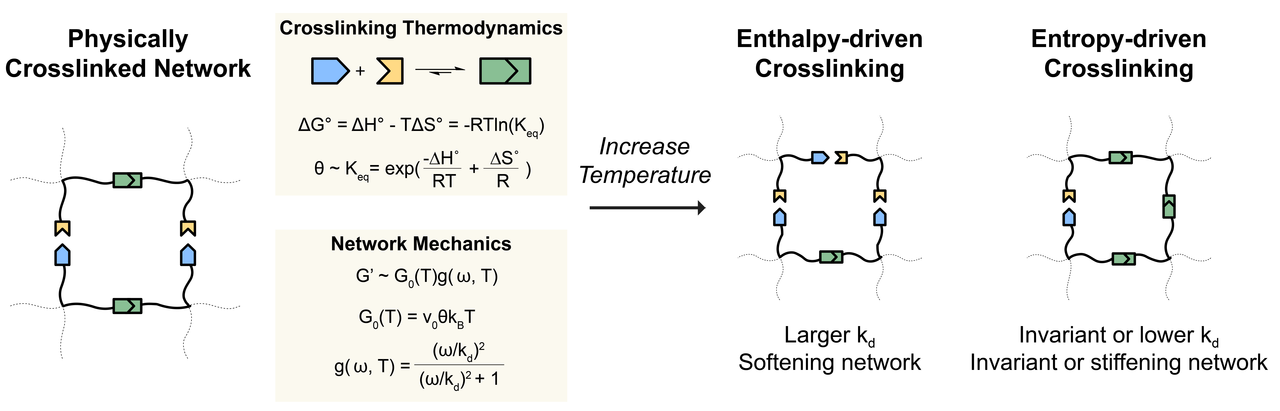 Physical networks crosslinked by entropy-driven polymer-nanoparticle interactions