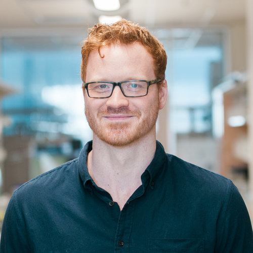 Go to the profile of Robert Thänert