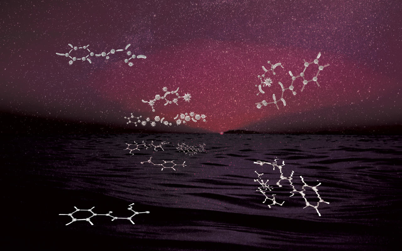 The Reflection of Gut Microbiota in the Bloodstream