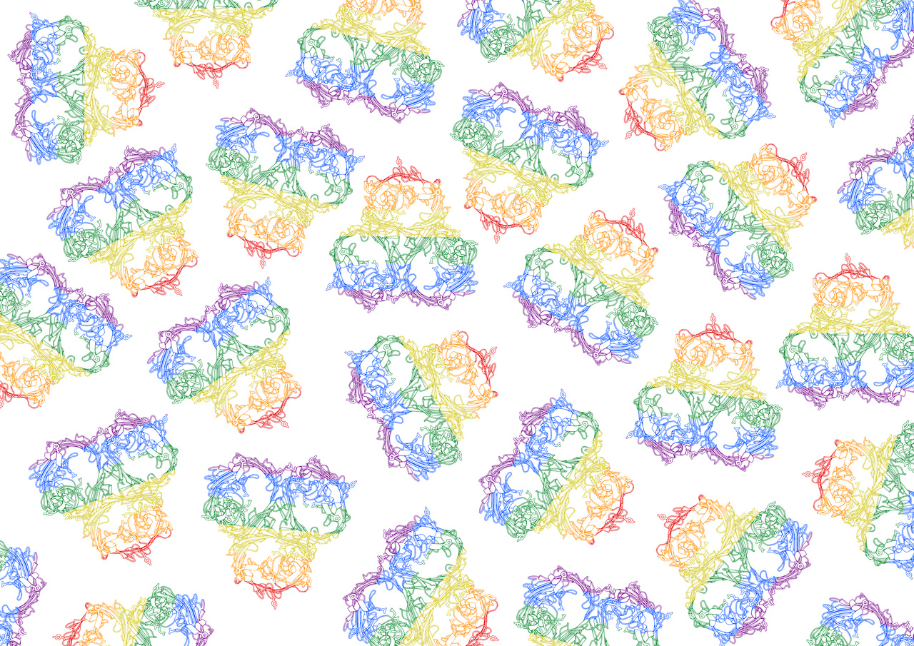 Achieving high levels of Carbapenem resistance disadvantages Klebsiella pneumoniae during host infection.