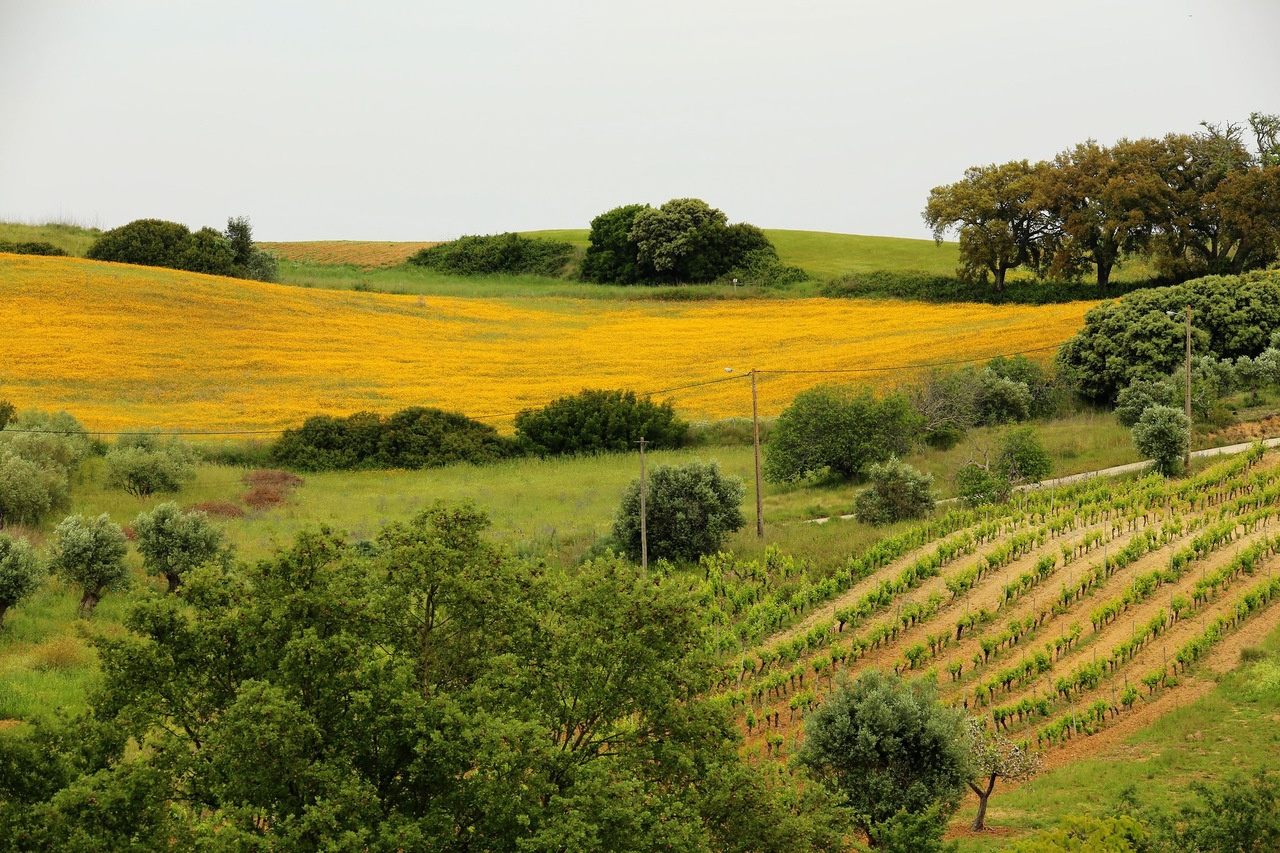 Gaia - The Great Mother Earth

