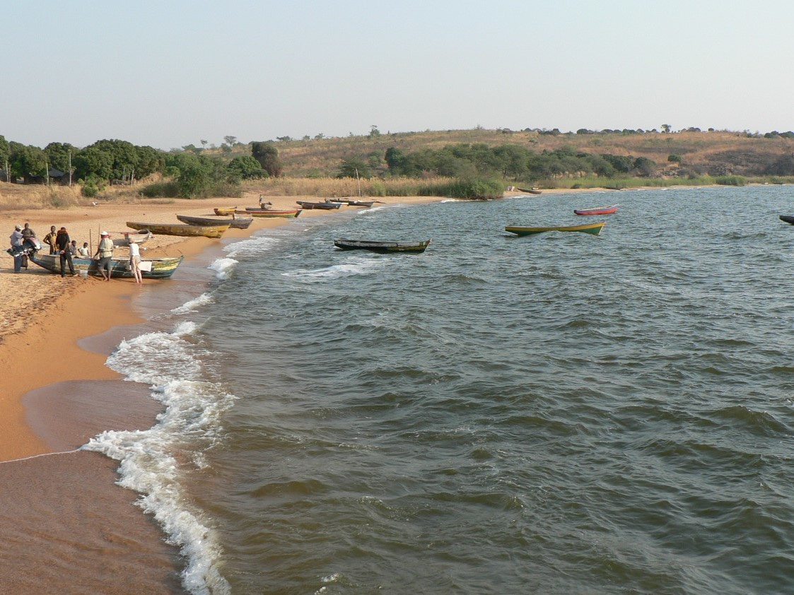 Fishing in little studied East African Lakes reveals striking differences in species richness explained by hybridization