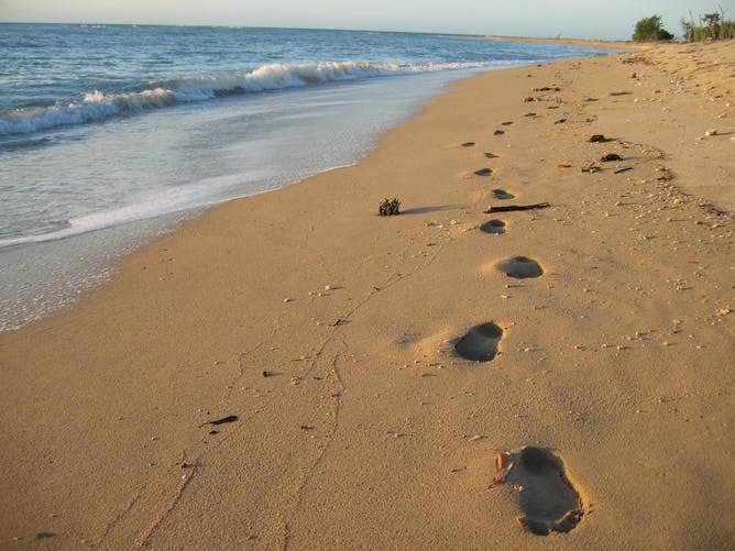Modelling reveals first Australians arrived in large groups using complex technologies
