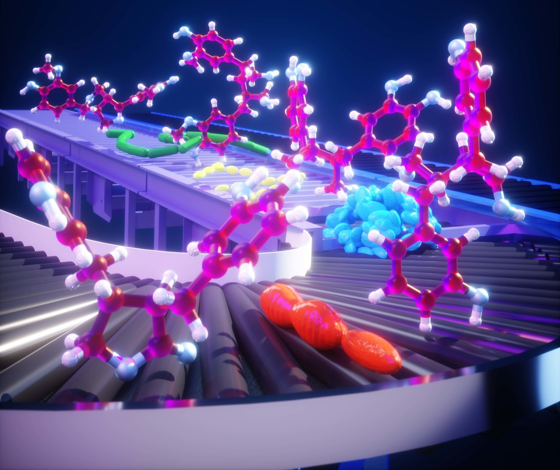 Bacteria invite their friends to dine together at the human gut buffet 