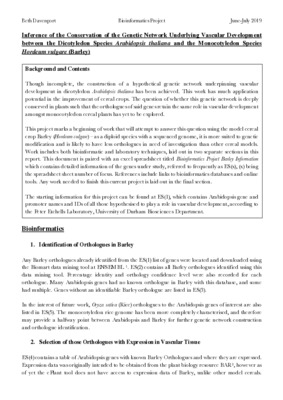 Genetic Network Underpinning Barley Vascular Development 