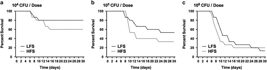 New technology delves deep into pathogenic Salmonella