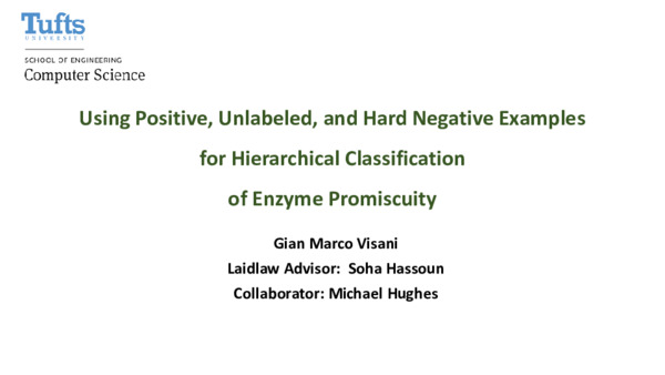 Using Positive, Unlabeled, and Hard Negative Examples for Hierarchical Classification of Enzyme Promiscuity 