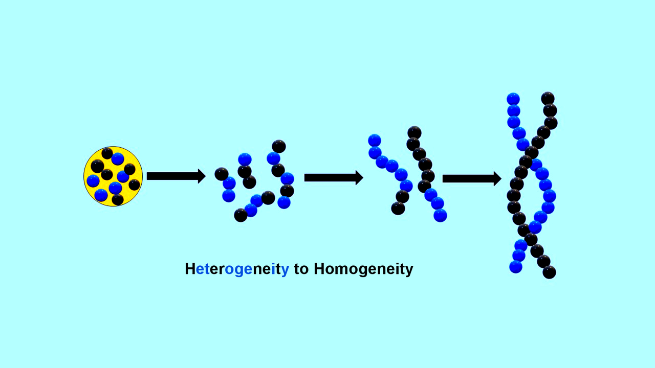 New insights into the emergence of life’s genetic polymers: The role of hybrid sequences