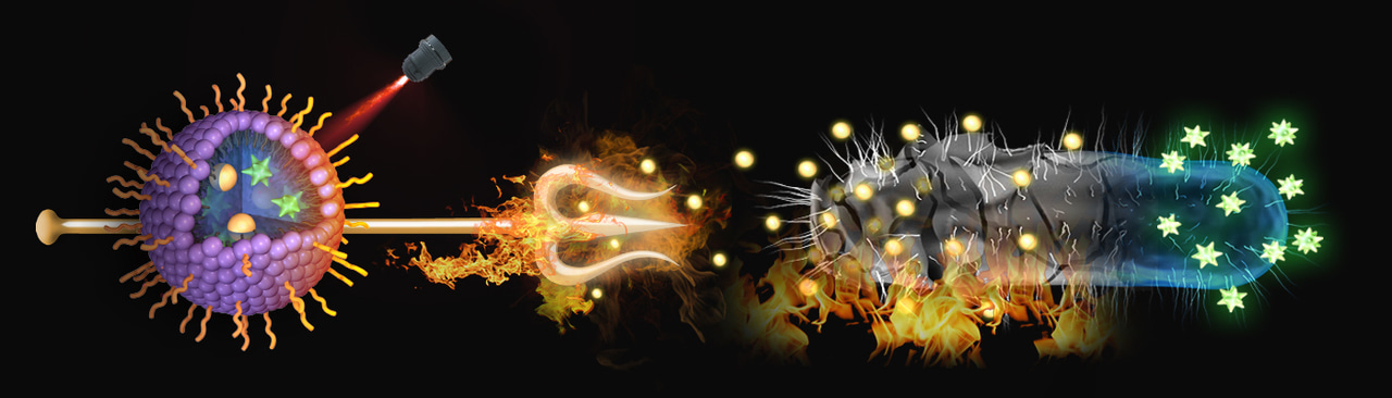 Photothermal responsive nanocarrier for efficient treatment of multidrug-resistant bacterial infection by synergetic chemo-photothermal therapy