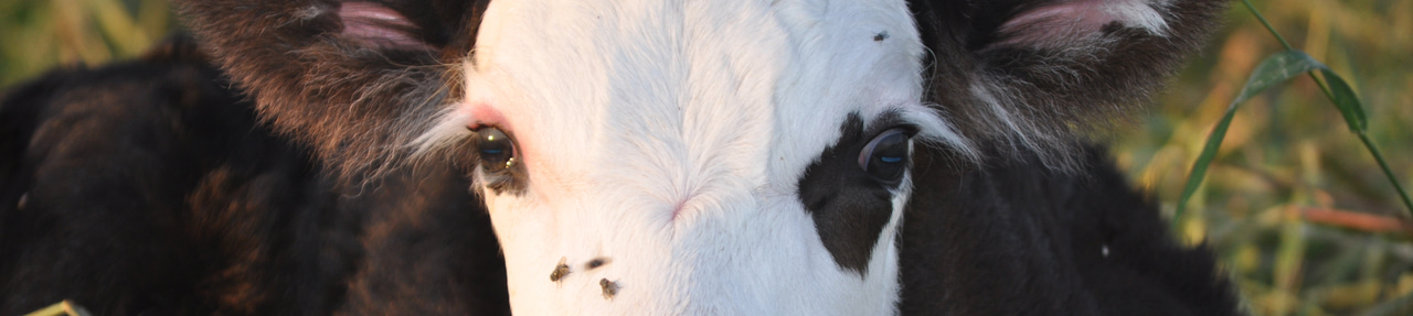 Responsible Science Takes Time