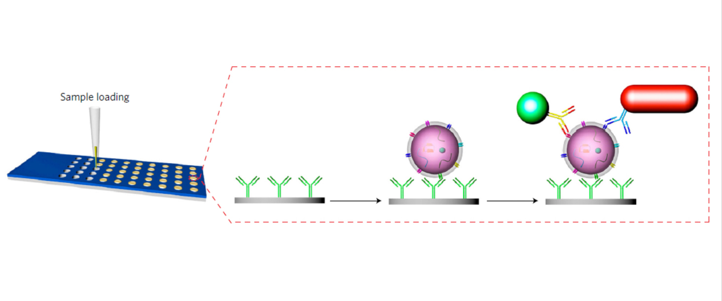 Chasing disease footprints in blood samples