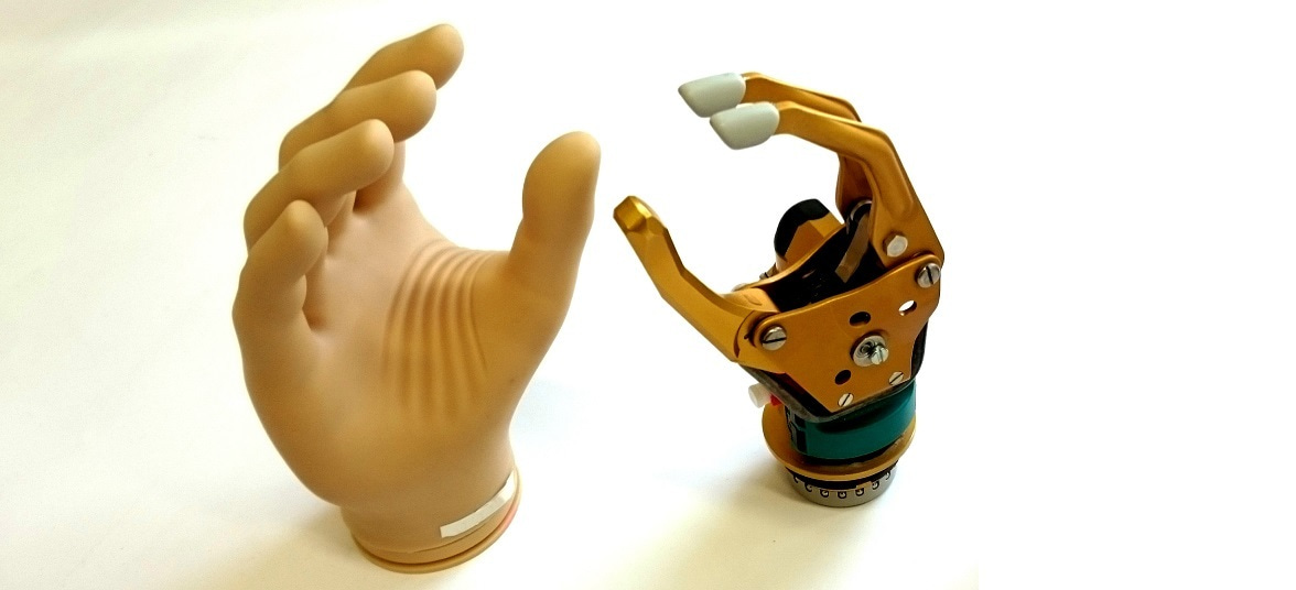 Accessing the timing of activation of peripheral motor nerve fibres for controlling bionic limbs