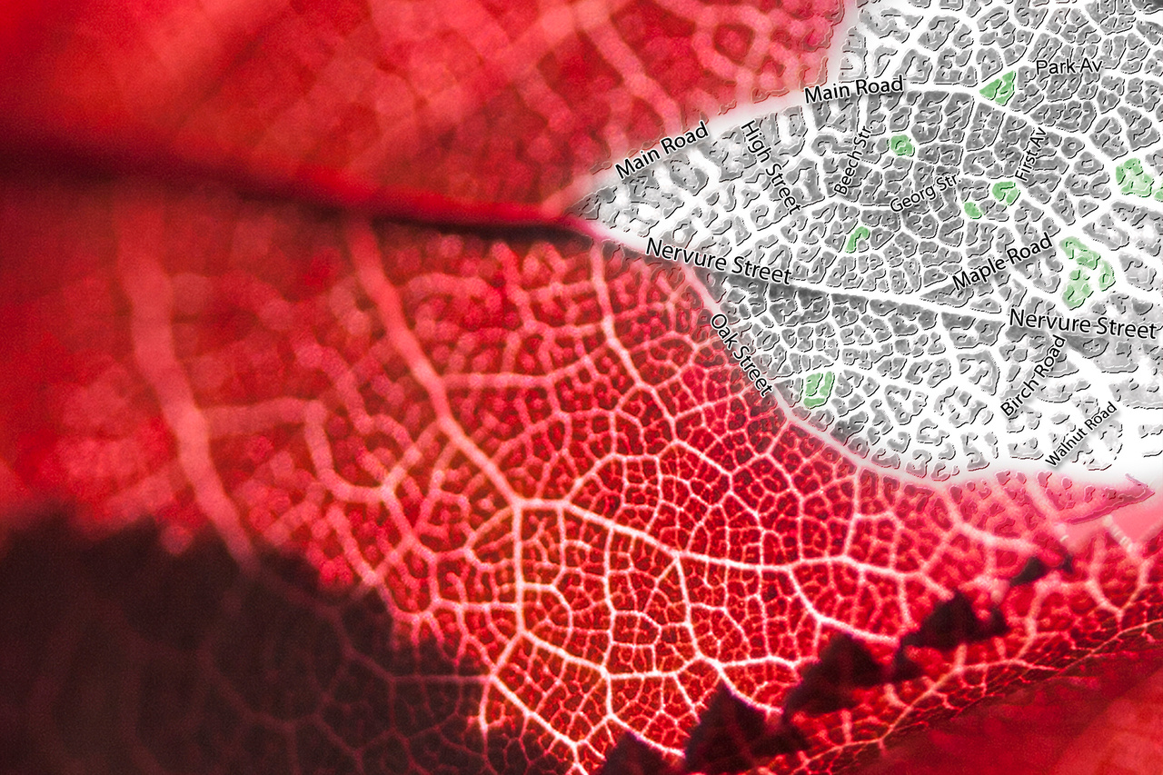 The human imprint on plant phenology