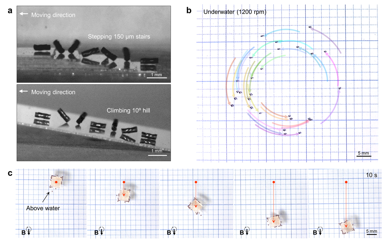 Multiple helical magnetic soft robots toward collective behaviors