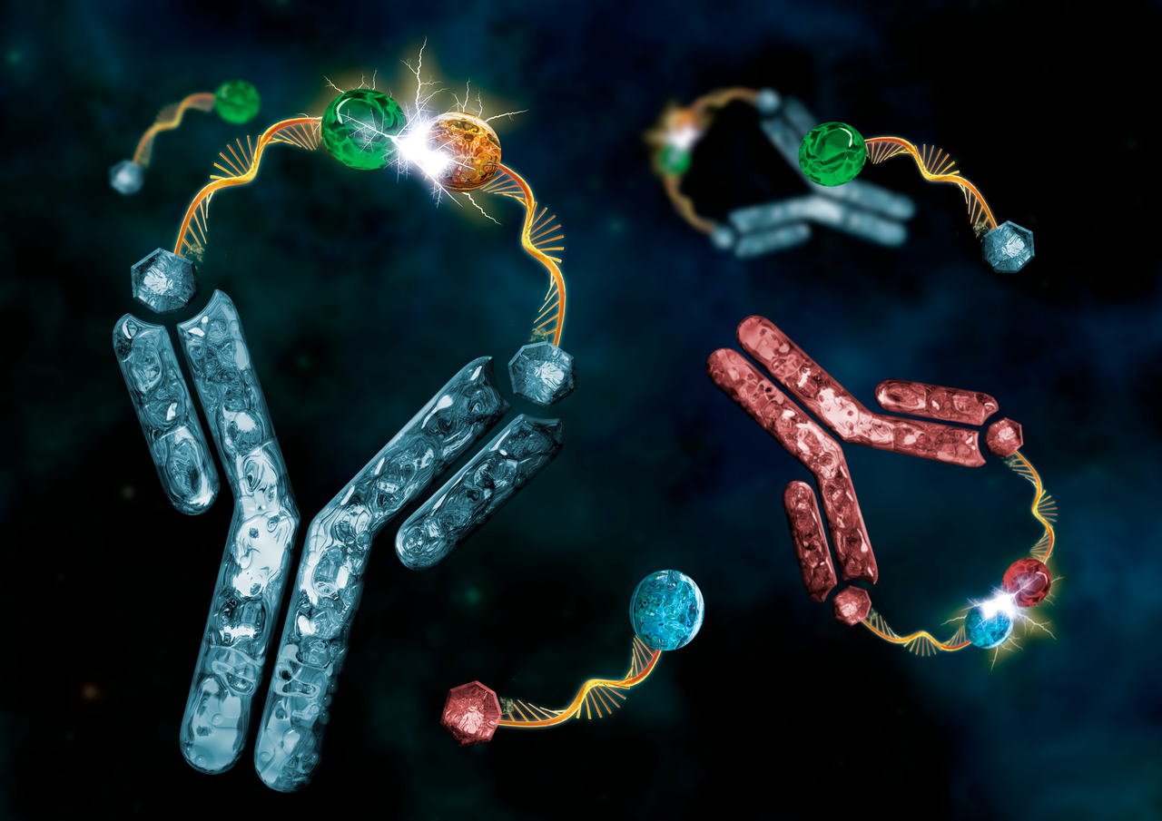 Controlling chemical reactivity with antibodies
